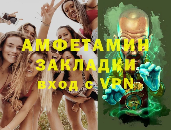 индика Алзамай