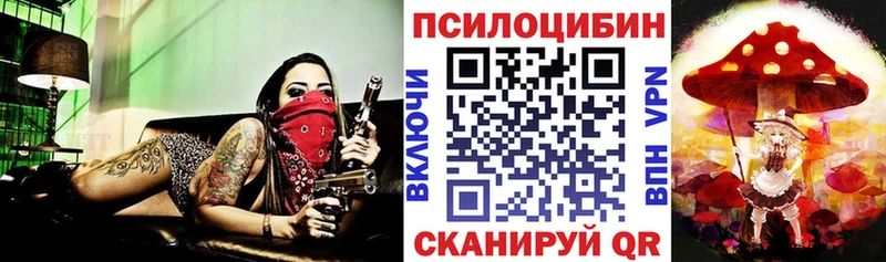 Галлюциногенные грибы Magic Shrooms где купить наркотик Курганинск