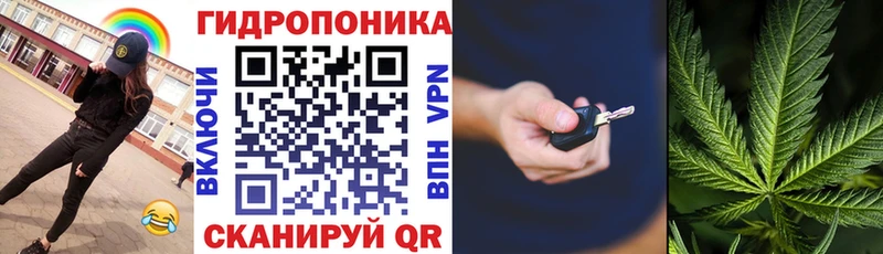 дарк нет состав  как найти наркотики  Курганинск  Конопля VHQ 